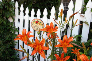 From the Lent-Riker-Smith Homestead Front Gardens